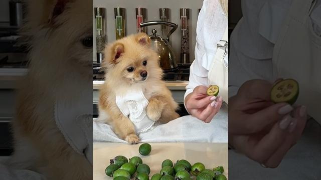 О пользе фейхоа! О пользе фейхоа!