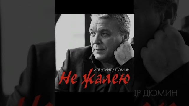 А. Дюмин - не жалею А. Дюмин - не жалею