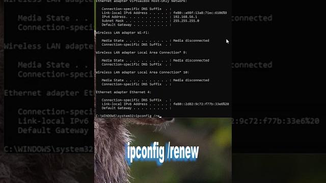 How to Reset or Change IP Address How to Reset or Change IP Address