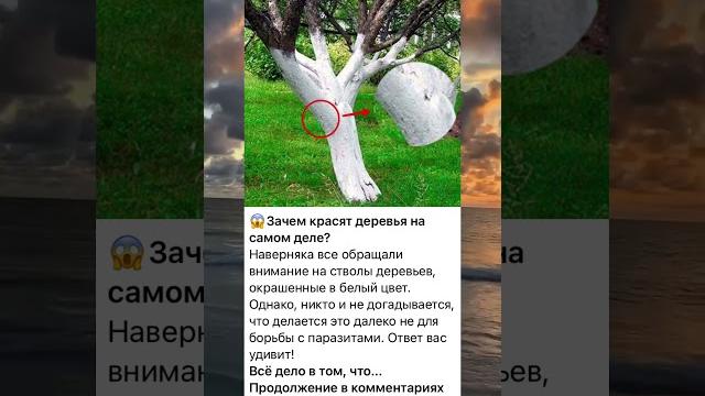 Зачем красят деревья на самом деле? Зачем красят деревья на самом деле?
