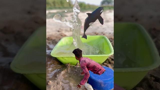 Creative Short Video That’ll Blow Your Mind | Trend Ban Raha Hai Abhi#shorts#ytshorts#viralshorts Creative Short Video That’ll Blow Your Mind | Trend Ban Raha Hai Abhi#shorts#ytshorts#viralshorts