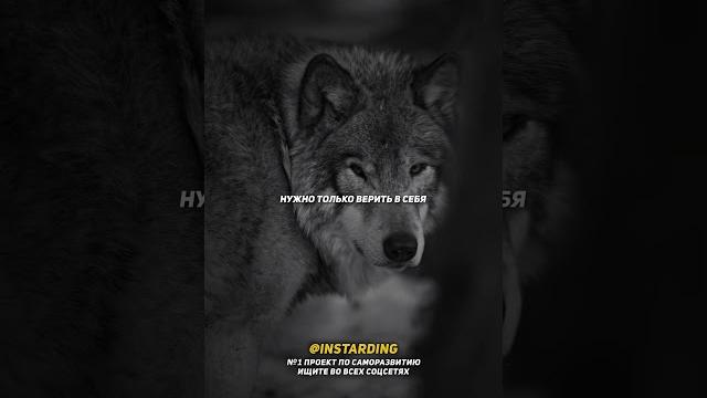 Чужое мнение не важно #цитаты #мудрость Чужое мнение не важно #цитаты #мудрость