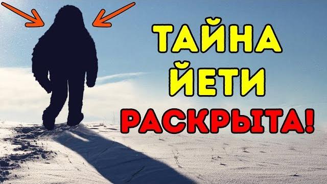 Ученые Наконец Выяснили, Кто Такой Йети Ученые Наконец Выяснили, Кто Такой Йети