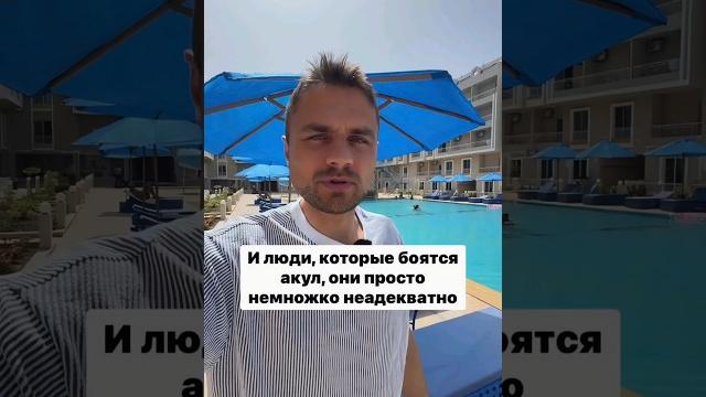 Акулы в Красном море Акулы в Красном море