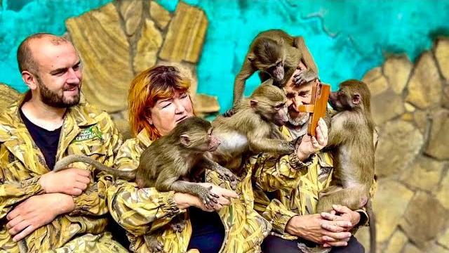 Хотите поднять себе настроение? СМОТРИМ! Хотите поднять себе настроение? СМОТРИМ!