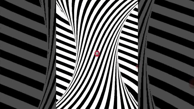 Иллюзия 1 Иллюзия 1