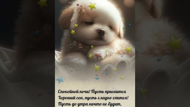 ⭐Доброй ночи!⭐ #нинаютубе ⭐Доброй ночи!⭐ #нинаютубе