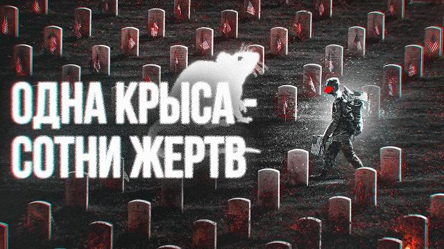 ЦРУ искали его годами. Flanders ЦРУ искали его годами. Flanders