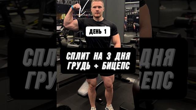 СПЛИТ НА 3 ДНЯ В НЕДЕЛЮ! ГРУДЬ + БИЦЕПС! День 1 СПЛИТ НА 3 ДНЯ В НЕДЕЛЮ! ГРУДЬ + БИЦЕПС! День 1