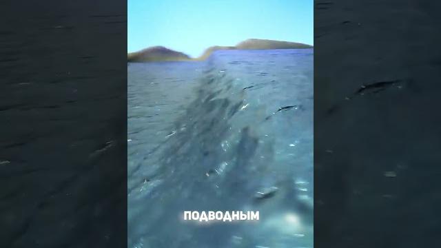 Разрушительное цунами 2004 года #факты #facts #цунами #tsunami #море #остров #полезное #будьлучше Разрушительное цунами 2004 года #факты #facts #цунами #tsunami #море #остров #полезное #будьлучше