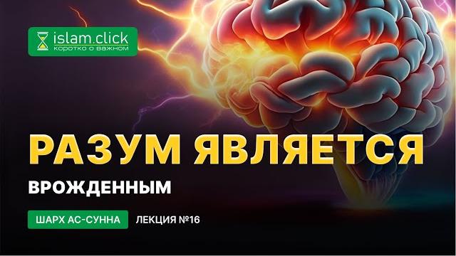 Разум врожденное, и различаются люди по своим умам. Пользы из Шарх Ас-Сунна. Абу Яхья Крымский Разум врожденное, и различаются люди по своим умам. Пользы из Шарх Ас-Сунна. Абу Яхья Крымский