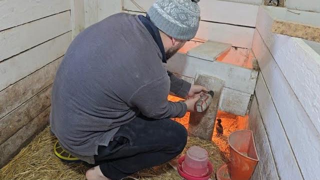 Новые жители приехали, а я не готов Новые жители приехали, а я не готов