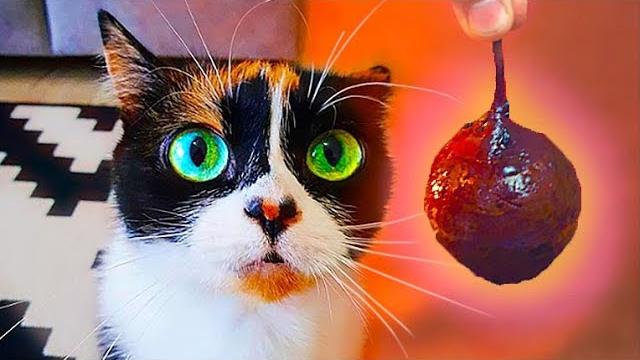КАК ПРОЖИТЬ ЦЕЛЫЙ ДЕНЬ - НА 50 РУБЛЕЙ КАК ПРОЖИТЬ ЦЕЛЫЙ ДЕНЬ - НА 50 РУБЛЕЙ