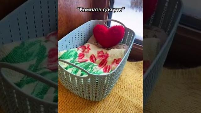 ️утка из ТТ️ ️утка из ТТ️