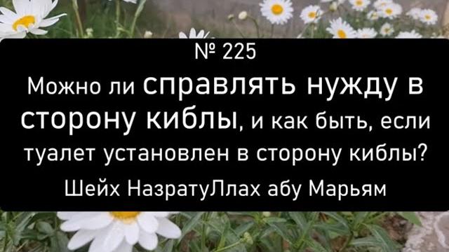 Можно ли справлять нужду в сторону киблы, и как быть, если туалет установлен в сторону киблы? Можно ли справлять нужду в сторону киблы, и как быть, если туалет установлен в сторону киблы?
