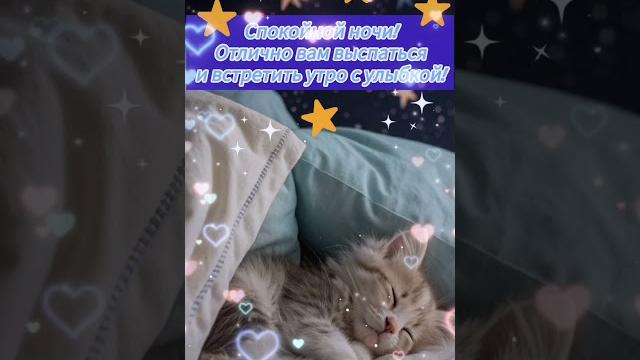 Добрый вечер хорошего вечера открытки на каждый день #открытка #добрый #видеооткрытка #добрыйвечер Добрый вечер хорошего вечера открытки на каждый день #открытка #добрый #видеооткрытка #добрыйвечер