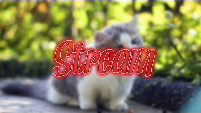 Stream(без микрофона) Stream(без микрофона)