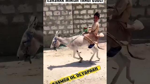 ESHSHAK MINISHNI YANGI USLUBI. kulguli videolar ESHSHAK MINISHNI YANGI USLUBI. kulguli videolar