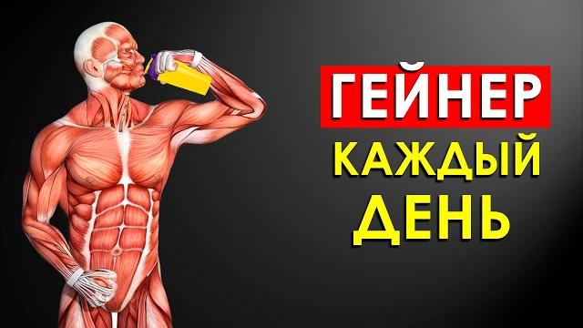 Что Будет с Телом, Если Принимать Гейнер Каждый День? Что Будет с Телом, Если Принимать Гейнер Каждый День?