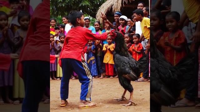 Little Boy vs Rooster–The Funniest Farm Face-Off#boyvsrooster #funnyfarm #funnykidmoments #viral Little Boy vs Rooster–The Funniest Farm Face-Off#boyvsrooster #funnyfarm #funnykidmoments #viral