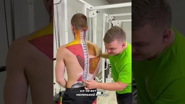 Which Muscle Is Causing Your Lower Back Pain? #shorts Which Muscle Is Causing Your Lower Back Pain? #shorts