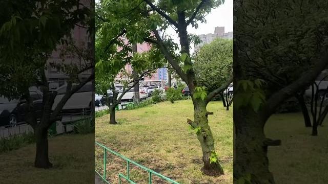 Время уходит. Время уходит.
