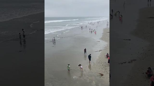 Breathtaking Views from Oceanside Pier | California Beach Vibes #shorts #oceanside #californiausa Breathtaking Views from Oceanside Pier | California Beach Vibes #shorts #oceanside #californiausa