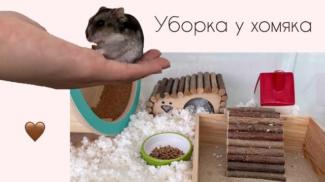 Уборка у хомяка-ХОМЯК Уборка у хомяка-ХОМЯК