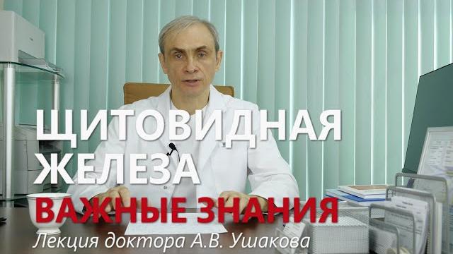 Щитовидная железа. Важные знания о строении, функции, диагностике и лечении от доктора Ушакова Щитовидная железа. Важные знания о строении, функции, диагностике и лечении от доктора Ушакова