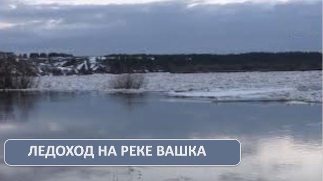 Ледоход на реке Вашка Ледоход на реке Вашка