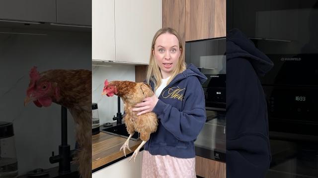 И куда курицу девать? И куда курицу девать?
