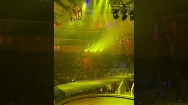 Жесткое падение #circus #extreme #цирк #crazy #tricks #flyingtrapeze #amazing #fail #lol #падение Жесткое падение #circus #extreme #цирк #crazy #tricks #flyingtrapeze #amazing #fail #lol #падение