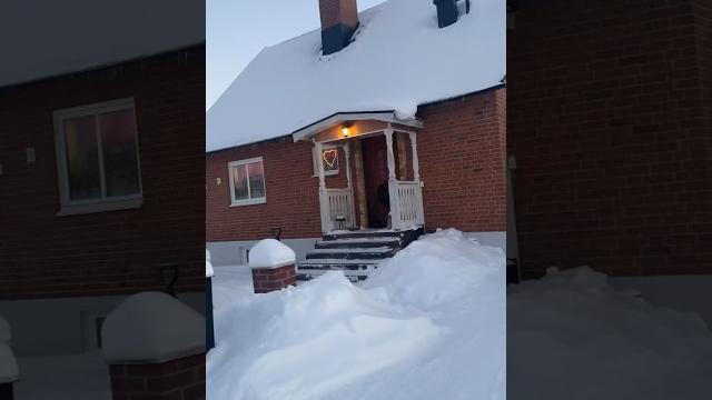 Sweden walks / #سوئد #schweden #winter #shortyoutube #швеция #nature #nordic #winterwonderland Sweden walks / #سوئد #schweden #winter #shortyoutube #швеция #nature #nordic #winterwonderland