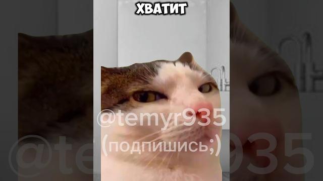 Лайфхак с домашним туалетом #shorts #коты #мемы #врек #туалет #актив #приколы #юмор #рек #малой Лайфхак с домашним туалетом #shorts #коты #мемы #врек #туалет #актив #приколы #юмор #рек #малой
