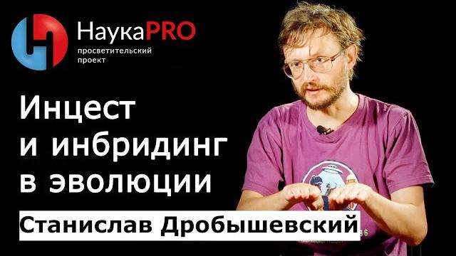 Инцест и инбридинг в эволюции | Лекции по антропологии – антрополог Станислав Дробышевский | Научпоп Инцест и инбридинг в эволюции | Лекции по антропологии – антрополог Станислав Дробышевский | Научпоп