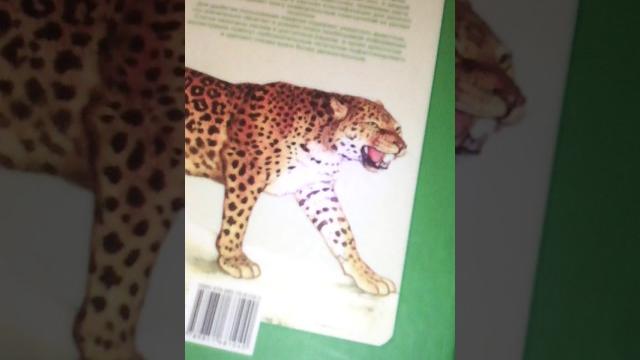 Книга что? Зачем? Почему? Книга что? Зачем? Почему?