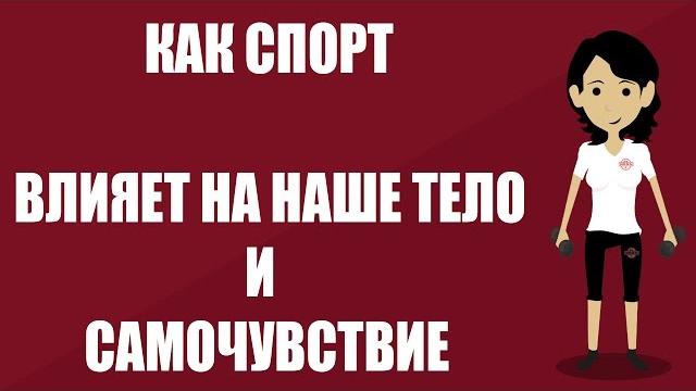 ВЛИЯНИЕ спорта на организм ВЛИЯНИЕ спорта на организм