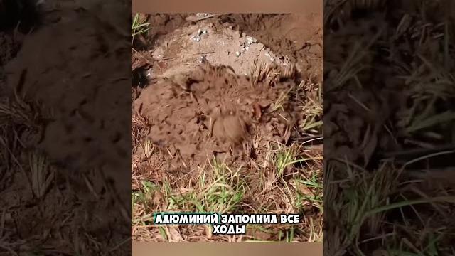 Подземный мир Подземный мир