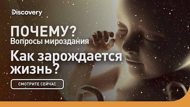 Как зарождается жизнь? | Почему: вопросы мироздания | Discovery Как зарождается жизнь? | Почему: вопросы мироздания | Discovery