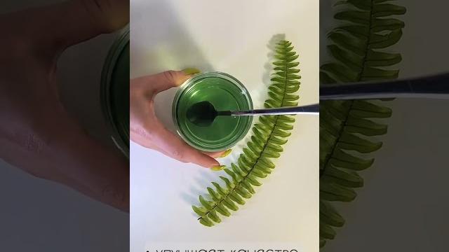 Хлорофилл для чего его принимать? Хлорофилл для чего его принимать?