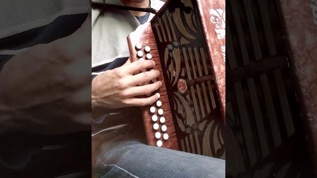 Как научиться играть частушки на гармони Урок 1-й. Как научиться играть частушки на гармони Урок 1-й.
