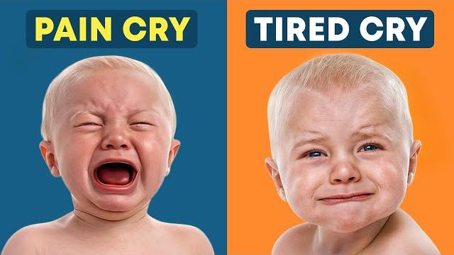 Every Type of Baby Cry Explained in 9 Minutes Every Type of Baby Cry Explained in 9 Minutes