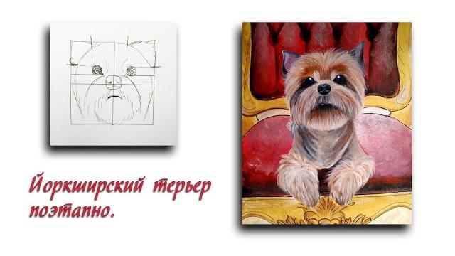 Как нарисовать Йоркширского терьера. Yorkshire Terrier drawing step by step. Рисунок собаки поэтапно Как нарисовать Йоркширского терьера. Yorkshire Terrier drawing step by step. Рисунок собаки поэтапно