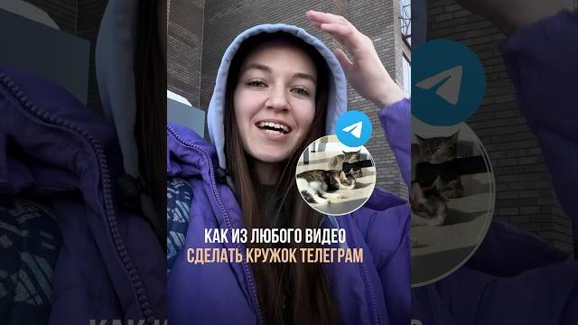 Как сделать кружок телеграм из любого видео | круглое видео телеграм #телеграмботы #телеграмканалы Как сделать кружок телеграм из любого видео | круглое видео телеграм #телеграмботы #телеграмканалы