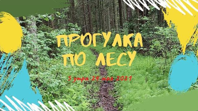 Фоновое видео для беговой дорожки Фоновое видео для беговой дорожки