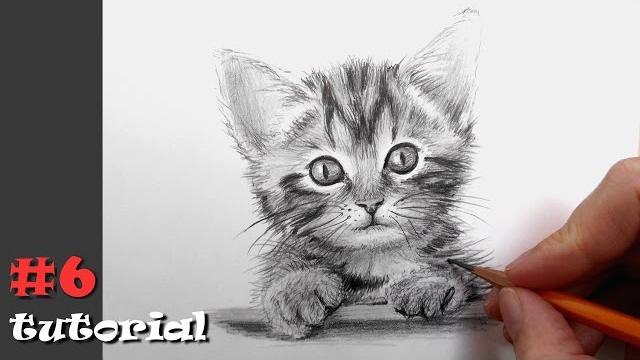 Как нарисовать кота карандашом. Как нарисовать кота карандашом.