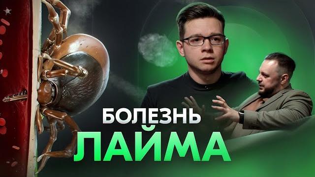 Болезнь Лайма: Боррелиоз смертелен? Болезнь Лайма: Боррелиоз смертелен?