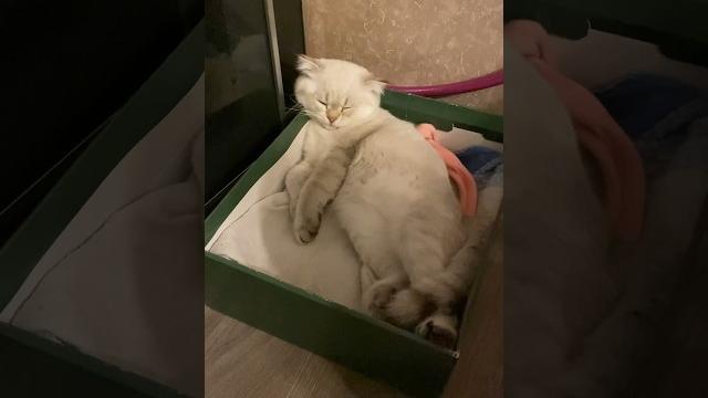 Зеленая коробочка 🫶 Зеленая коробочка 🫶