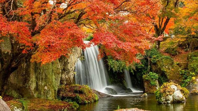 Most Soothing Piano and Guitar Music l Quiet Morning, Bird Sounds to Relax or Fall Asleep Most Soothing Piano and Guitar Music l Quiet Morning, Bird Sounds to Relax or Fall Asleep