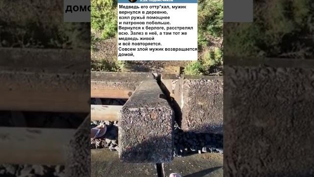 Анекдот про охоту и медведя #анекдоты #юмор Анекдот про охоту и медведя #анекдоты #юмор